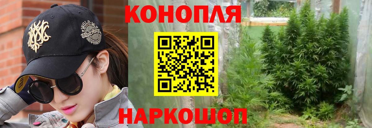Бошки Шишки марихуана  Бошки Шишки план  Новошахтинск  Канабис конопля  Вход с VPN 